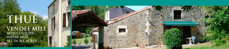 Le Pavot